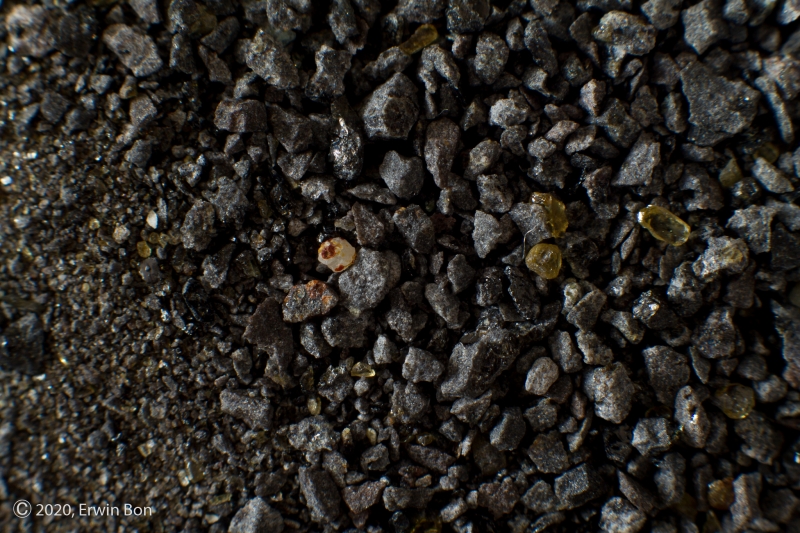 Duitsland, Nickenich